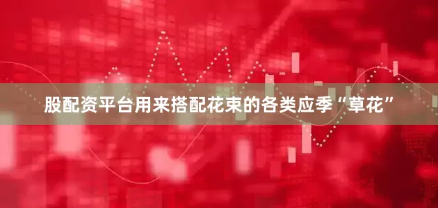 股配资平台用来搭配花束的各类应季“草花”