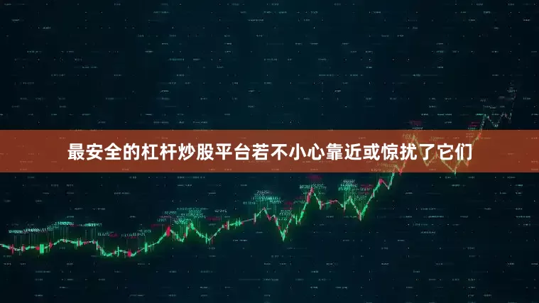 最安全的杠杆炒股平台若不小心靠近或惊扰了它们
