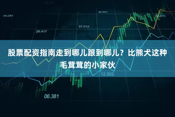 股票配资指南走到哪儿跟到哪儿？比熊犬这种毛茸茸的小家伙