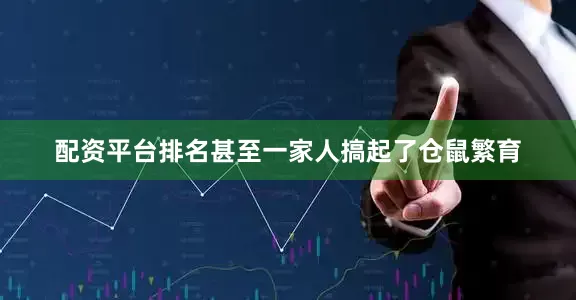 配资平台排名甚至一家人搞起了仓鼠繁育